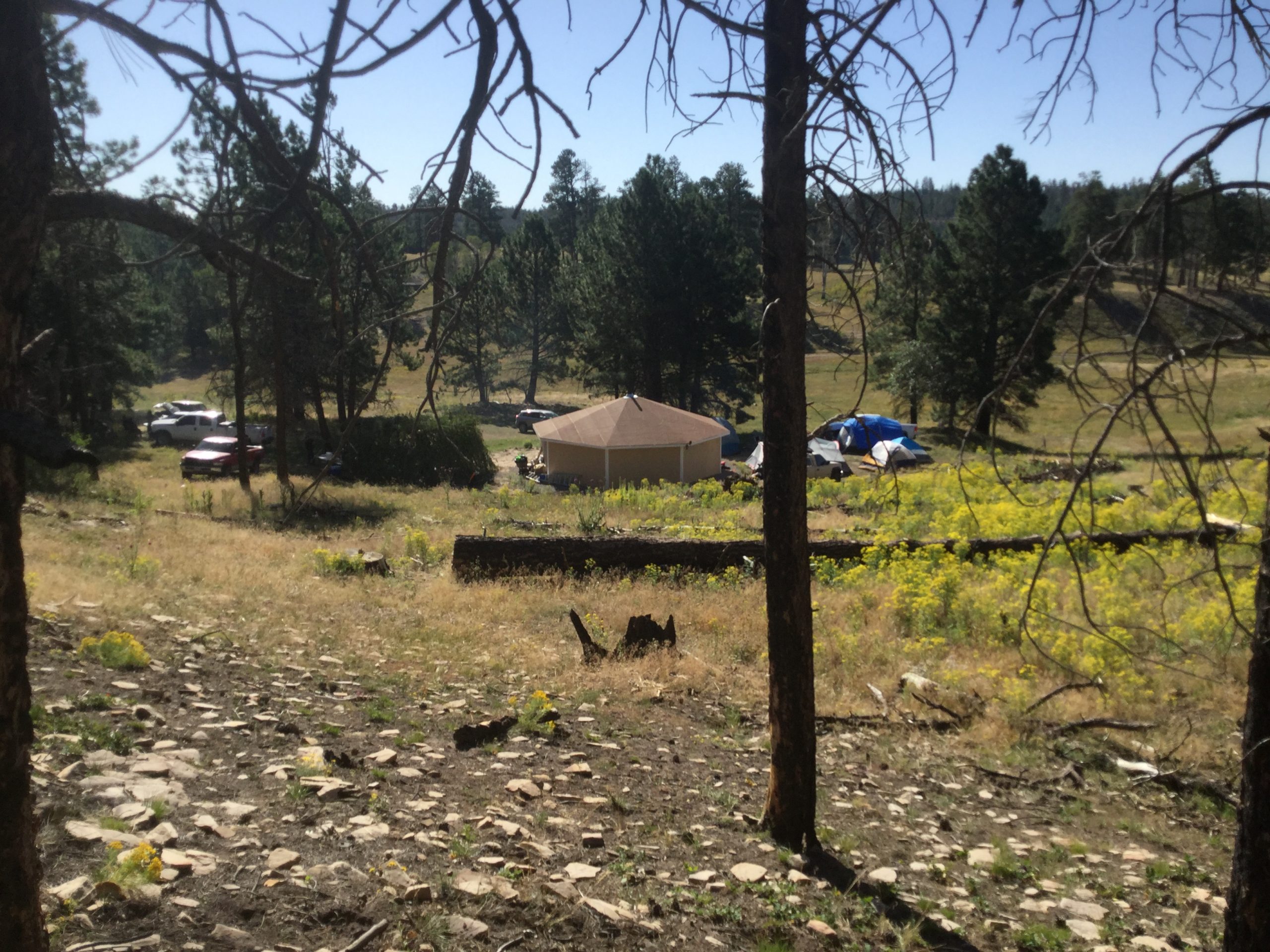 Family sheep camp in Chuska Mountains, rebuilt after 2014 Asaayii Lake fire
